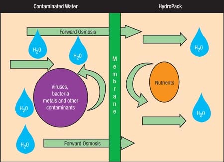 1660336926119 Figure 2