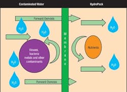 1660336926119 Figure 2 1660336926119 Figure 2