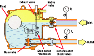 1660338814995 Zzzz576