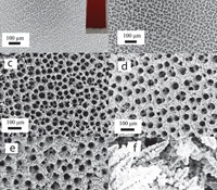 1660602044679 Foamcarbondioxideconversionts
