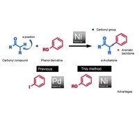 1660602217641 1408nicklecatalystcutscostts