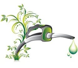 1660602219512 1408renewableenergymovementts 1660602219512 1408renewableenergymovementts