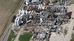 1407-plant-rebounds-after-natural-disaster-ts 1407-plant-rebounds-after-natural-disaster-ts