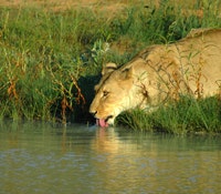 1660602483955 1406cybersecuritythreatsts