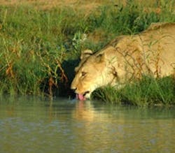 1660602483955 1406cybersecuritythreatsts 1660602483955 1406cybersecuritythreatsts