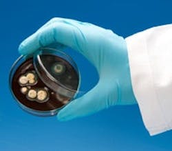 1660602667852 1311biofuelecoligasolinets 1660602667852 1311biofuelecoligasolinets