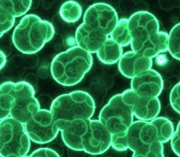 1660602836294 1304tsalgaecultivationtechnologiesbeginbloom