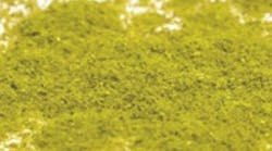 1660603017022 1208solidsts 1660603017022 1208solidsts