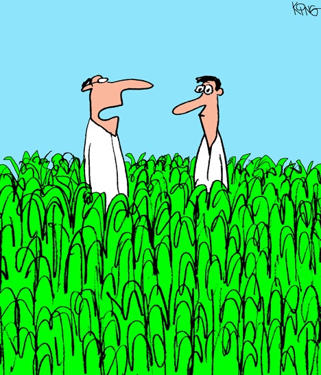 1660603376475 Cartooncaption170418