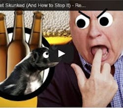 1660603450454 Skunkbeerts 1660603450454 Skunkbeerts