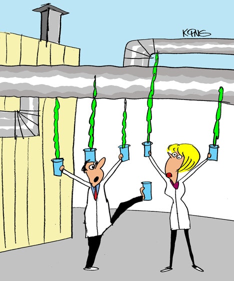 1660603662126 Cartoon1227