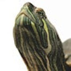 1660603923345 1204 Salary Button 1660603923345 1204 Salary Button