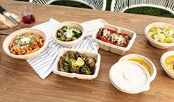 news-zume-solenis-580x340 news-zume-solenis-580x340