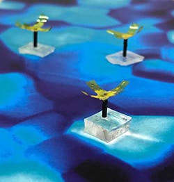 1661880212937 Multiplepolyps1 1661880212937 Multiplepolyps1