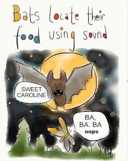 1661880484171 Bats 1661880484171 Bats