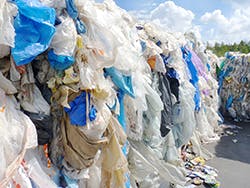 1661880621599 Nestewasteplastic 1661880621599 Nestewasteplastic