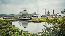 image-ea-demo-plant-validated-1