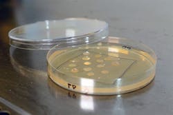 vtt-plastbug vtt-plastbug