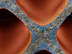 1661881437036 062118basfcatalyst 1661881437036 062118basfcatalyst