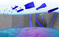 1661881643044 24841264927799fafeef4z 1661881643044 24841264927799fafeef4z