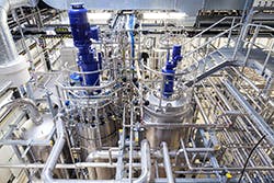 CLAPR1348a CLAPR1348a