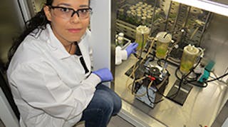 Sandra-Rincon-graduate-student-algae-research-2017-450p