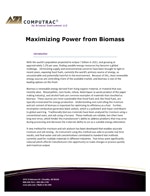 1661893381499 Cover Maximizing Power From Biomass Rev