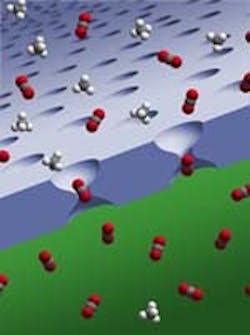 1661894135178 Inprocess Pore 1661894135178 Inprocess Pore