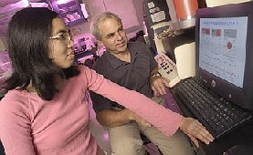 1661894312684 Pollutionpredictionphoto