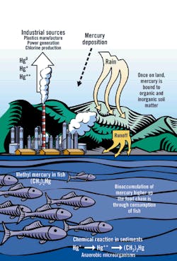 1661897723310 Zzzz930 1661897723310 Zzzz930