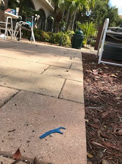 29594627-10217189701241091-4988830646424696219-n 29594627-10217189701241091-4988830646424696219-n