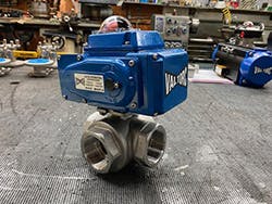 1663366405519 Img1284 1663366405519 Img1284