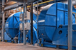 1663366478290 2 1663366478290 2