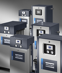 1663366654134 Cdscdplusgroupshotc2020