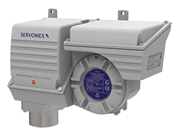 1663366819552 2222 1663366819552 2222