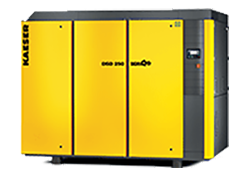 1663366888420 Dsdxkreportenewscopy