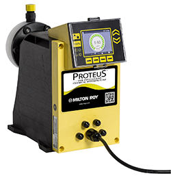 1663367409427 Proteusimage