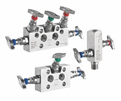 Schneider-Manifold-Composite