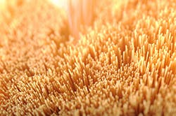 1663367552067 1hollowfibermembranes 1663367552067 1hollowfibermembranes