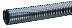 1663367639287 Silvertiger300dpi 1663367639287 Silvertiger300dpi