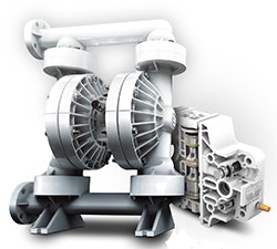 Wilden-SHIFT-SS-PLS-copy