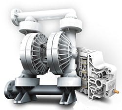 1663368165444 Wildenshiftssplscopy 1663368165444 Wildenshiftssplscopy