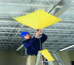 1663368742344 Newpig0916