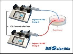 1663368806546 Kdscientific0821 1663368806546 Kdscientific0821