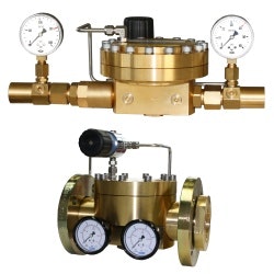 1663369541529 Witt0426