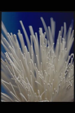 1663370413571 Nanoceramic0922 1663370413571 Nanoceramic0922