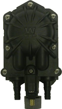 1663370499259 Wilden Hornet 1663370499259 Wilden Hornet