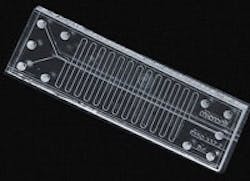 1663371438175 Cp 1663371438175 Cp