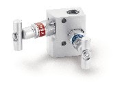 1663372320760 Swagelok Web