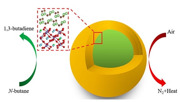 1663606553928 Clodhbimage